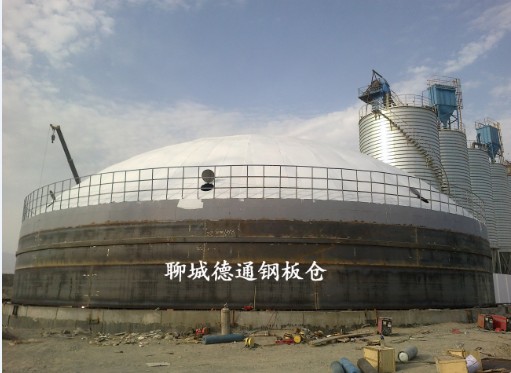 新疆2萬噸熟料庫1座