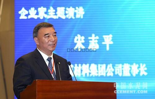 宋志平：為什么要搞混合所有制